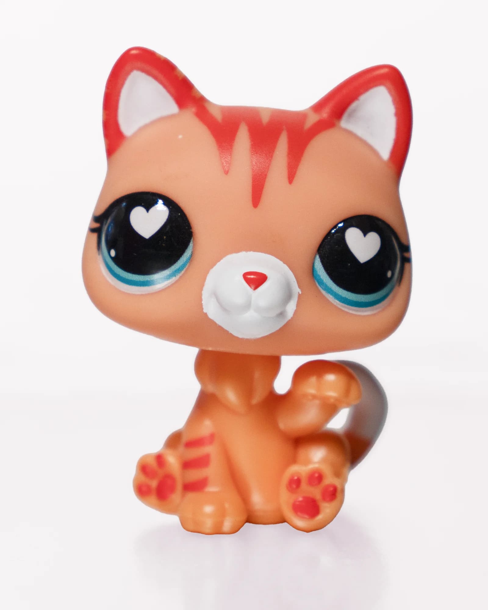 Orange Cat, front view